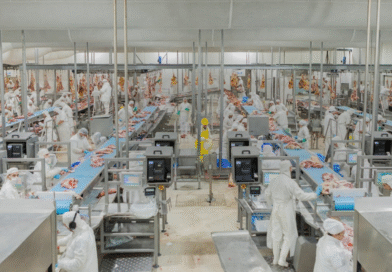 Actualización de criterios y refuerzo del bienestar animal en procesos de inspección Actualización de criterios y refuerzo del bienestar animal en procesos de inspección