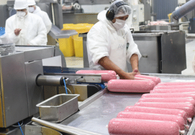 Se actualizan los ingredientes y valores permitidos para la elaboración de chacinados