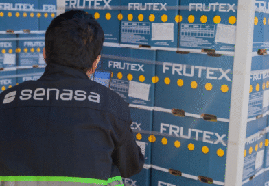 En 2025 se exportaron más de 100 mil toneladas de cítricos a la Unión Europea