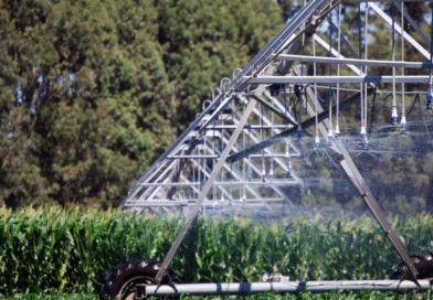 Argentina aumentó la superficie de riego en más de 63.000 hectáreas en los últimos 2 años