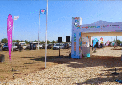 El INTA impulsa la innovación y la integración de la cadena hortícola El INTA impulsa la innovación y la integración de la cadena hortícola