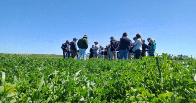 El INTA H. Ascasubi estuvo presente en la reunión de AAPRESID en Est. San Jorge.