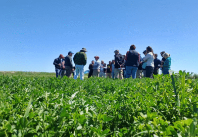 El INTA H. Ascasubi estuvo presente en la reunión de AAPRESID en Est. San Jorge.