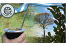 Sello de Indicación Geográfica, una herramienta que aporta valor agregado a la Yerba Mate Argentina y está disponible para el sector yerbatero