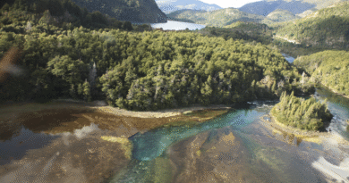 Se prohíbe el uso del fuego en 5 Parques Nacionales de Patagonia Norte