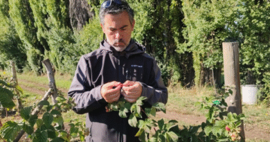 Actualización sobre el RENSPA para productores hortícolas y frutícolas