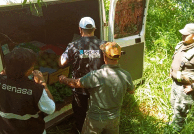 Detección de 1 ton de frutas y hortalizas sin documentación sanitaria