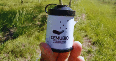 Primera exportación de controladores biológicos para frutales