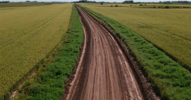 Implementación de perímetros y parches de biodiversidad en sitios experimentales del INTA