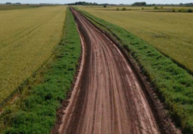 Implementación de perímetros y parches de biodiversidad en sitios experimentales del INTA