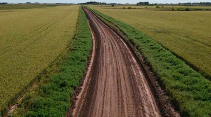 Implementación de perímetros y parches de biodiversidad en sitios experimentales del INTA