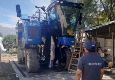 Se incorpora el DTV-e al traslado de cosechadoras de vid hacia áreas libres de Lobesia botrana