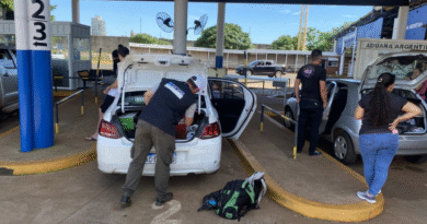 Qué tener en cuenta para ingresar a la Argentina con productos porcinos y lácteos