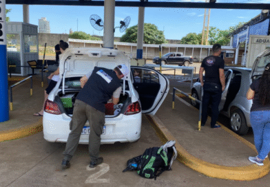 Qué tener en cuenta para ingresar a la Argentina con productos porcinos y lácteos