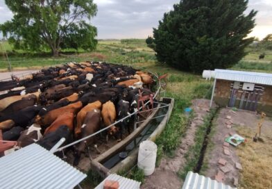 Sabias que podés generar hasta el 100% de la energía que consumis en tu explotación agrícola o ganadera?