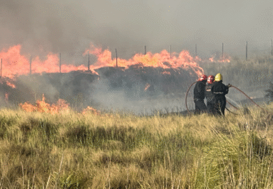Atención Productores de Villarino – EMERGENCIA POR INCENDIOS