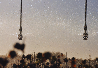 Con inteligencia artificial, redefinen el monitoreo del riego en la Argentina