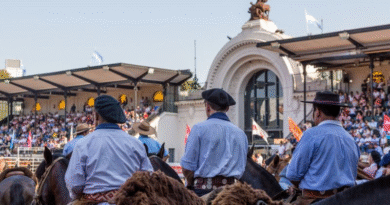 El corazón del campo vuelve a latir en el Predio Ferial de Buenos Aires: Se viene “Nuestros Caballos 2026”