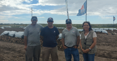 Jornada de campo en el INTA Ascasubi: Cebolla y riego por goteo con reservorio