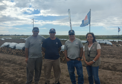 Jornada de campo en el INTA Ascasubi: Cebolla y riego por goteo con reservorio