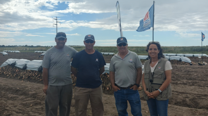 Jornada de campo en el INTA Ascasubi: Cebolla y riego por goteo con reservorio