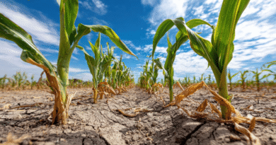 Junín será sede de EnBio 2026, con eje en el estrés abiótico