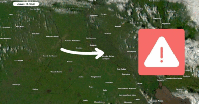 Hay lotes agrícolas donde se perdió todo: qué fenómeno provocó los daños en la región núcleo