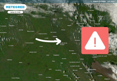 Hay lotes agrícolas donde se perdió todo: qué fenómeno provocó los daños en la región núcleo Hay lotes agrícolas donde se perdió todo: qué fenómeno provocó los daños en la región núcleo