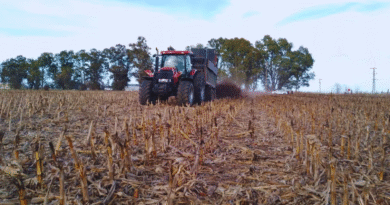 El aprovechamiento del estiércol mejora hasta un 26 % los rindes de los cultivos