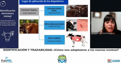 Más de 70 personas participaron del 18° Encuentro Virtual del Club de Buenas Prácticas Tamberas , dedicado a Identificación y trazabilidad.