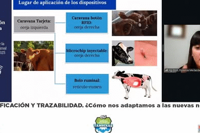 Más de 70 personas participaron del 18° Encuentro Virtual del Club de Buenas Prácticas Tamberas , dedicado a Identificación y trazabilidad.