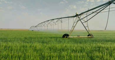 Alerta campo | El agro argentino pierde 50% de agua y la tecnología aparece para prevenir