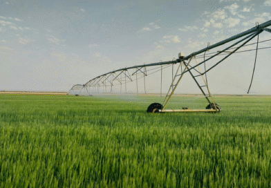 Alerta campo | El agro argentino pierde 50% de agua y la tecnología aparece para prevenir