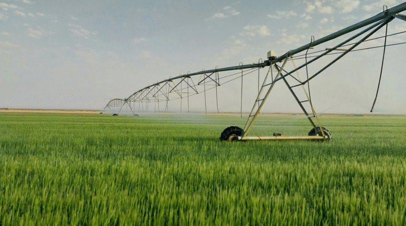 Alerta campo | El agro argentino pierde 50% de agua y la tecnología aparece para prevenir