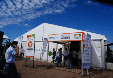 Los remates ganaderos abrieron la agenda de ventas en la “Capital Nacional de los Agronegocios”