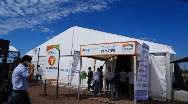 Los remates ganaderos abrieron la agenda de ventas en la “Capital Nacional de los Agronegocios”