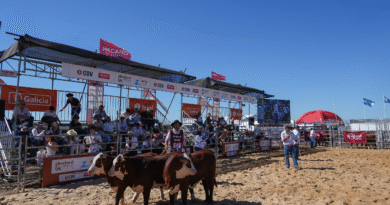 Jura de bozales Braford marcada por la calidad y la genética