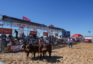 Jura de bozales Braford marcada por la calidad y la genética