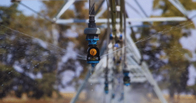 Riego: la estrategia que ordena la incertidumbre productiva