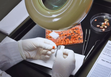 Evaluar la viabilidad de las semillas define el éxito del ciclo