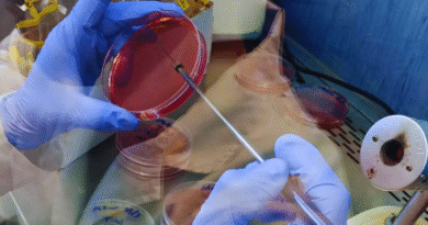 Laboratorio del INTA se integra a la RedLab para fortalecer el control sanitario avícola