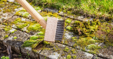 Claves simples y efectivas para eliminar malezas en superficies duras y evitar que reaparezcan con el tiempo.