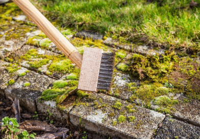 Claves simples y efectivas para eliminar malezas en superficies duras y evitar que reaparezcan con el tiempo. Claves simples y efectivas para eliminar malezas en superficies duras y evitar que reaparezcan con el tiempo.