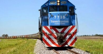 Más vagones para el ramal cerealero: llegaron 45 tolvas al Puerto de Buenos Aires