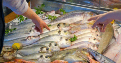 Semana Santa: Recomendaciones para un consumo seguro de productos de la pesca