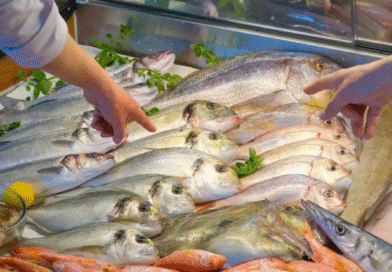 Semana Santa: Recomendaciones para un consumo seguro de productos de la pesca