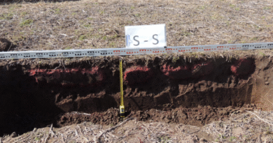 Cómo evitar la compactación del suelo en otoños húmedos