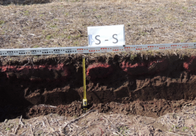 Cómo evitar la compactación del suelo en otoños húmedos