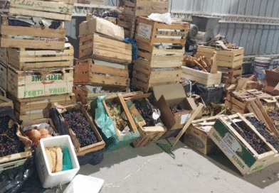 Se evitó el ingreso a la Patagonia de 1.430 kg de productos hospederos de moscas de la fruta