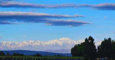 El INTA y productores impulsan espacios de conservación en sistemas de producción